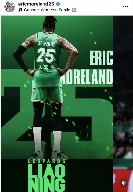 大外援偏蓝, 详解辽宁新